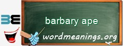 WordMeaning blackboard for barbary ape